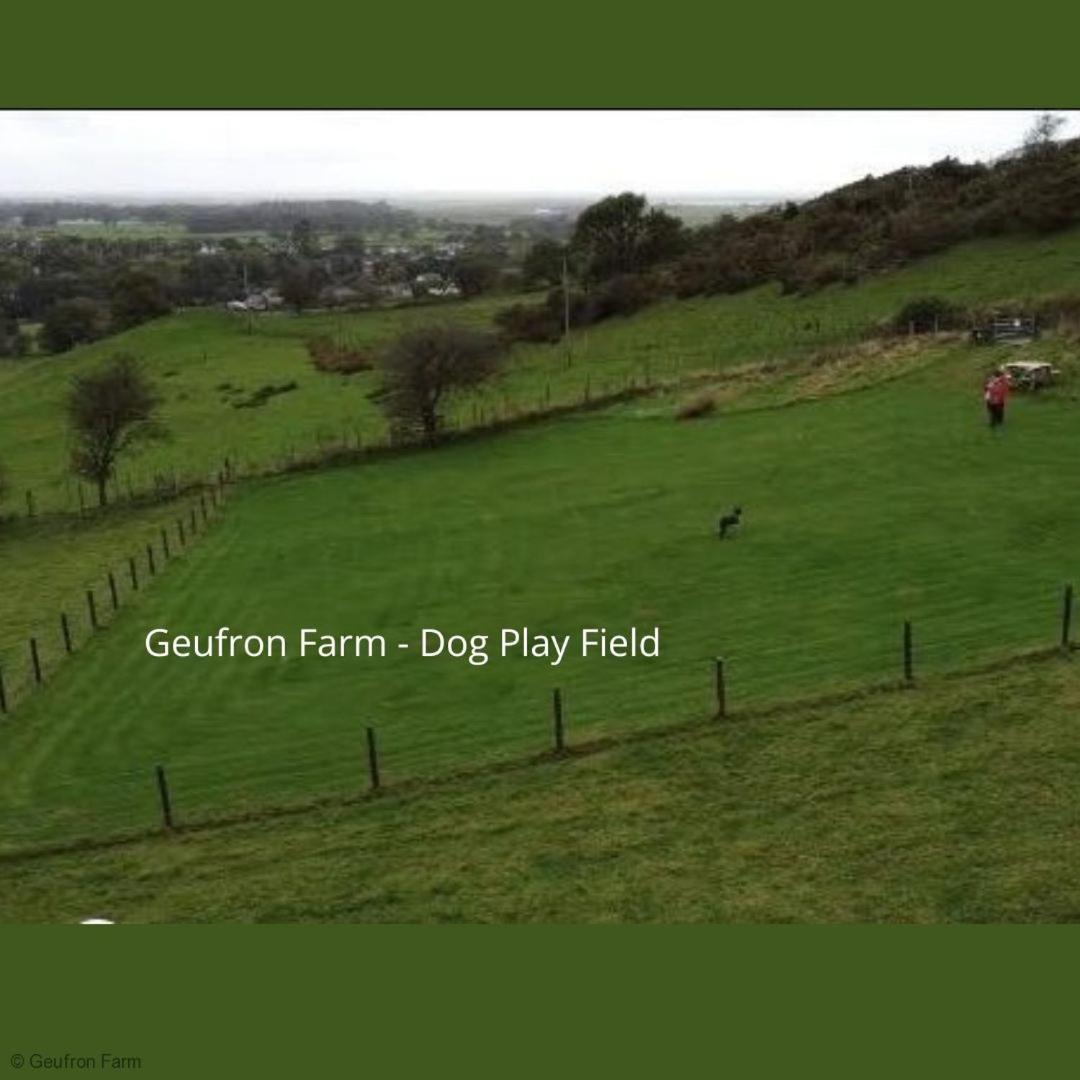 The Barn At Geufron Farm - Dog Friendly - Nr Tywyn Vila Bryn-crug Exterior foto