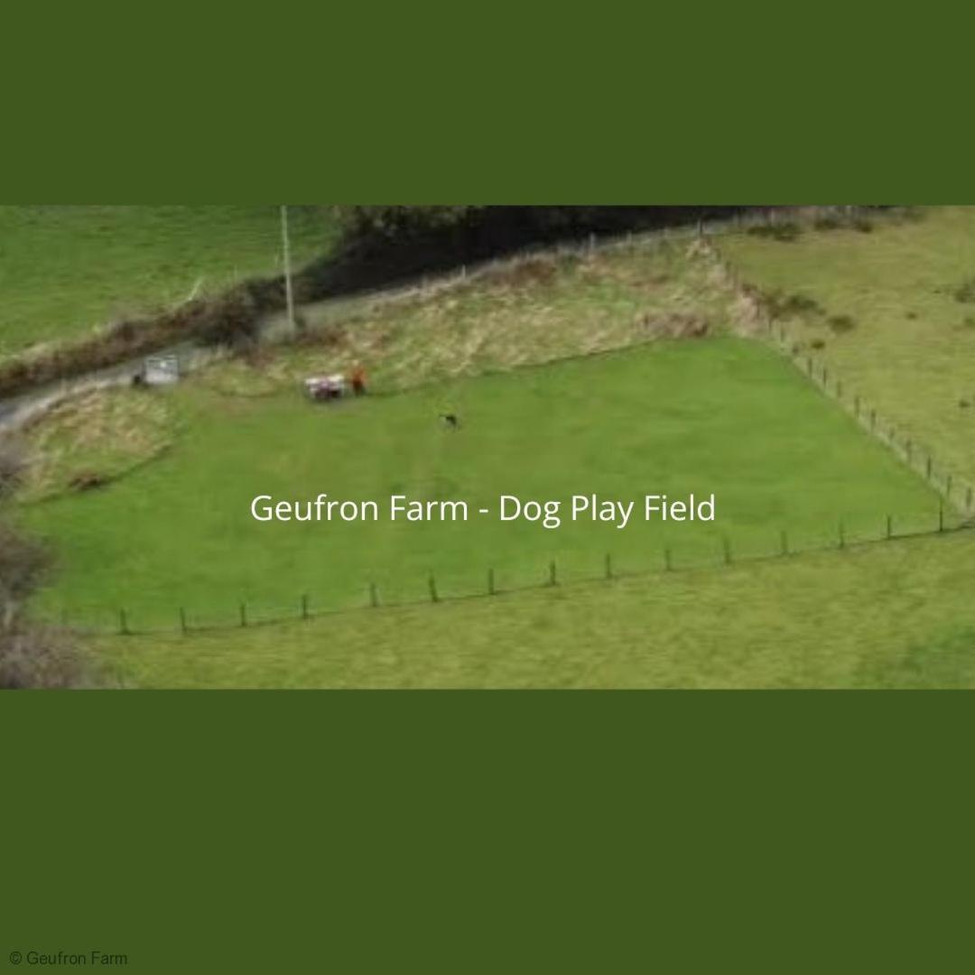 The Barn At Geufron Farm - Dog Friendly - Nr Tywyn Vila Bryn-crug Exterior foto